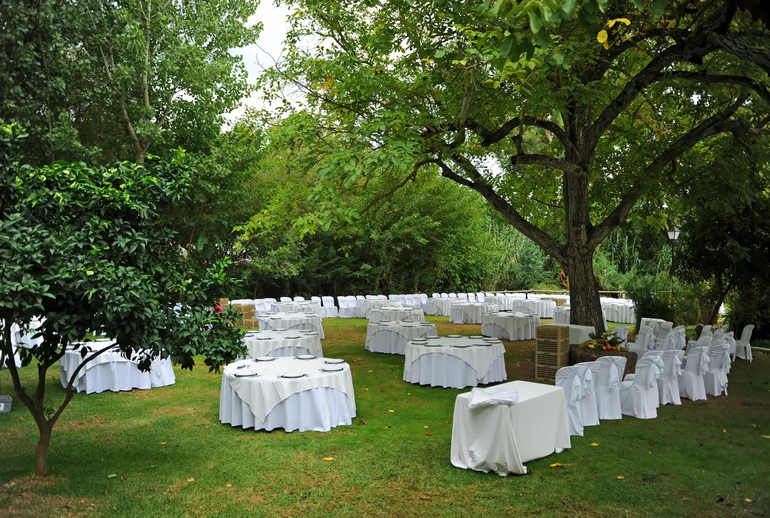 Tische für die Feier eines romantischen Hochzeitsbanketts in einem Garten im Freien
